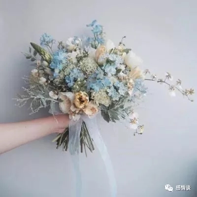 极品小财神